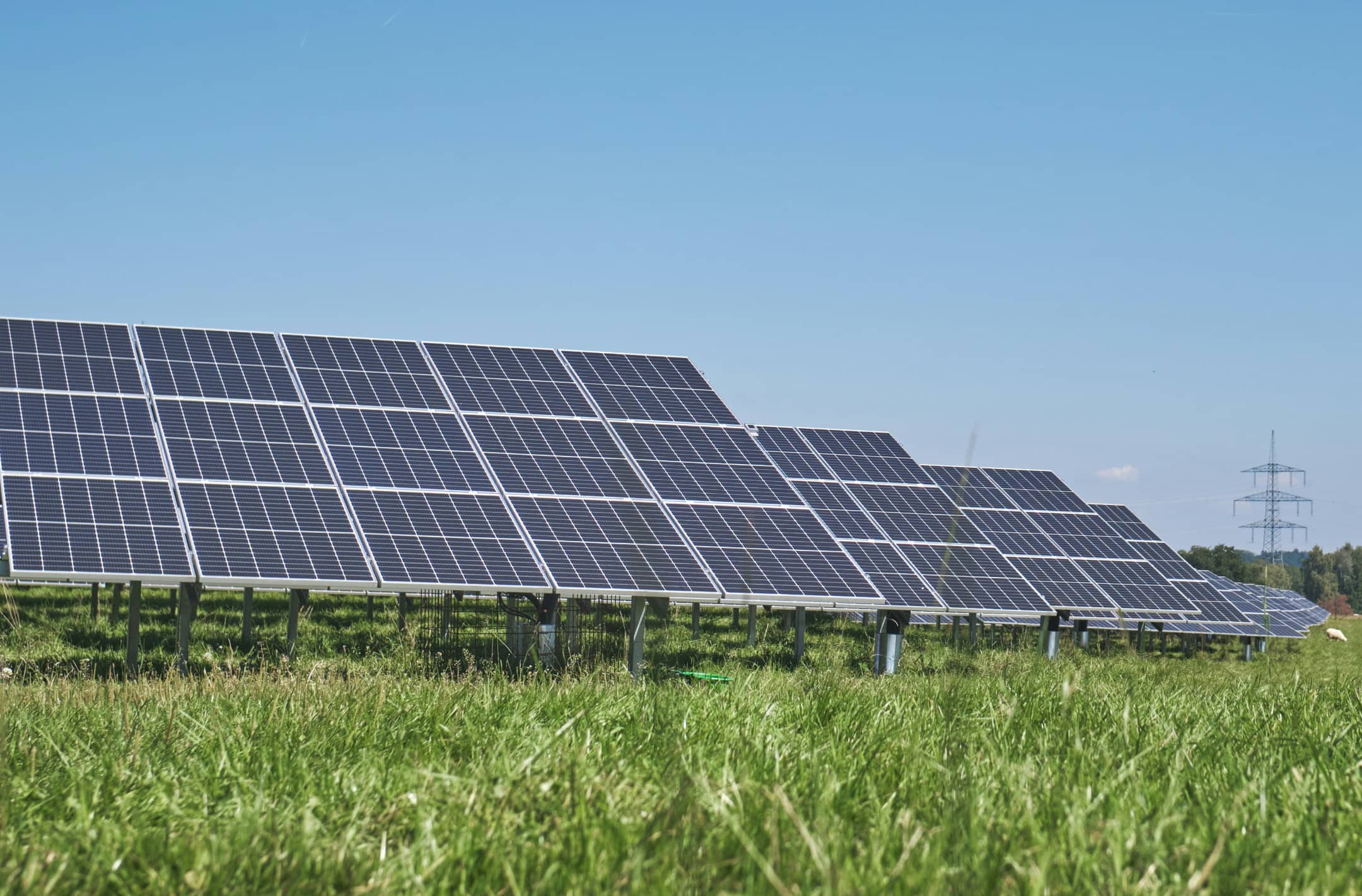 Solarfeld PV-Anlagen von vorne auf einer grünen Wiese im Hintergrund ein großer Strommast bei blauem Himmel und Sonnenschein.